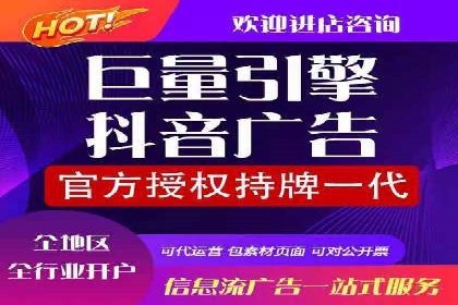 百度广告投放策略与效果评估案例